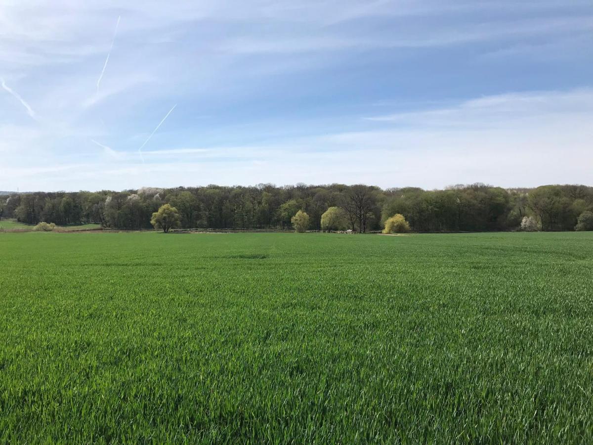 L Oree Du Bois Moncheux ภายนอก รูปภาพ